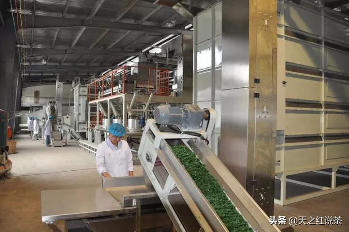 口粮茶哪个牌子好喝又便宜,什么茶耐泡好喝便宜