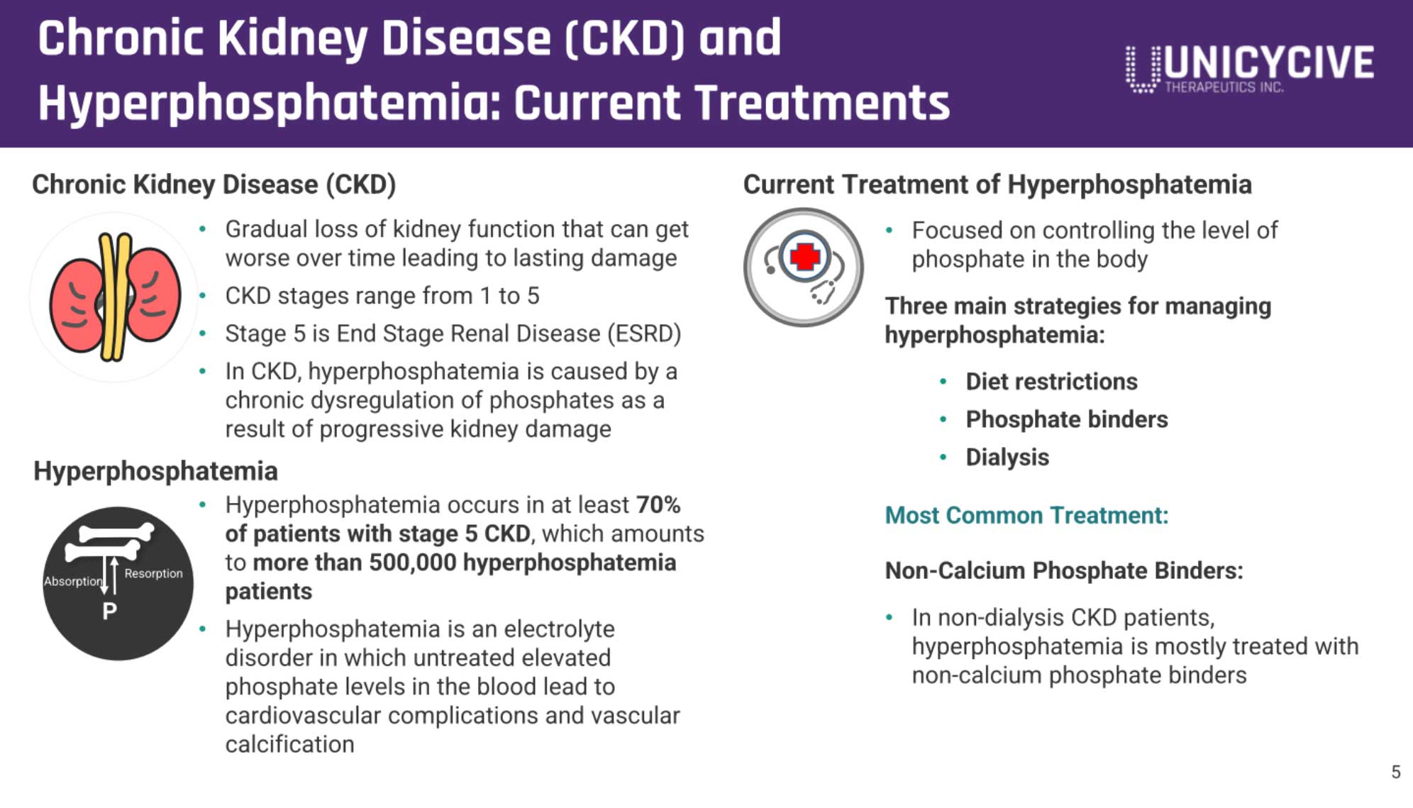 Unicycive冲刺纳斯达克：拟募资2766万美元路演PPT曝光