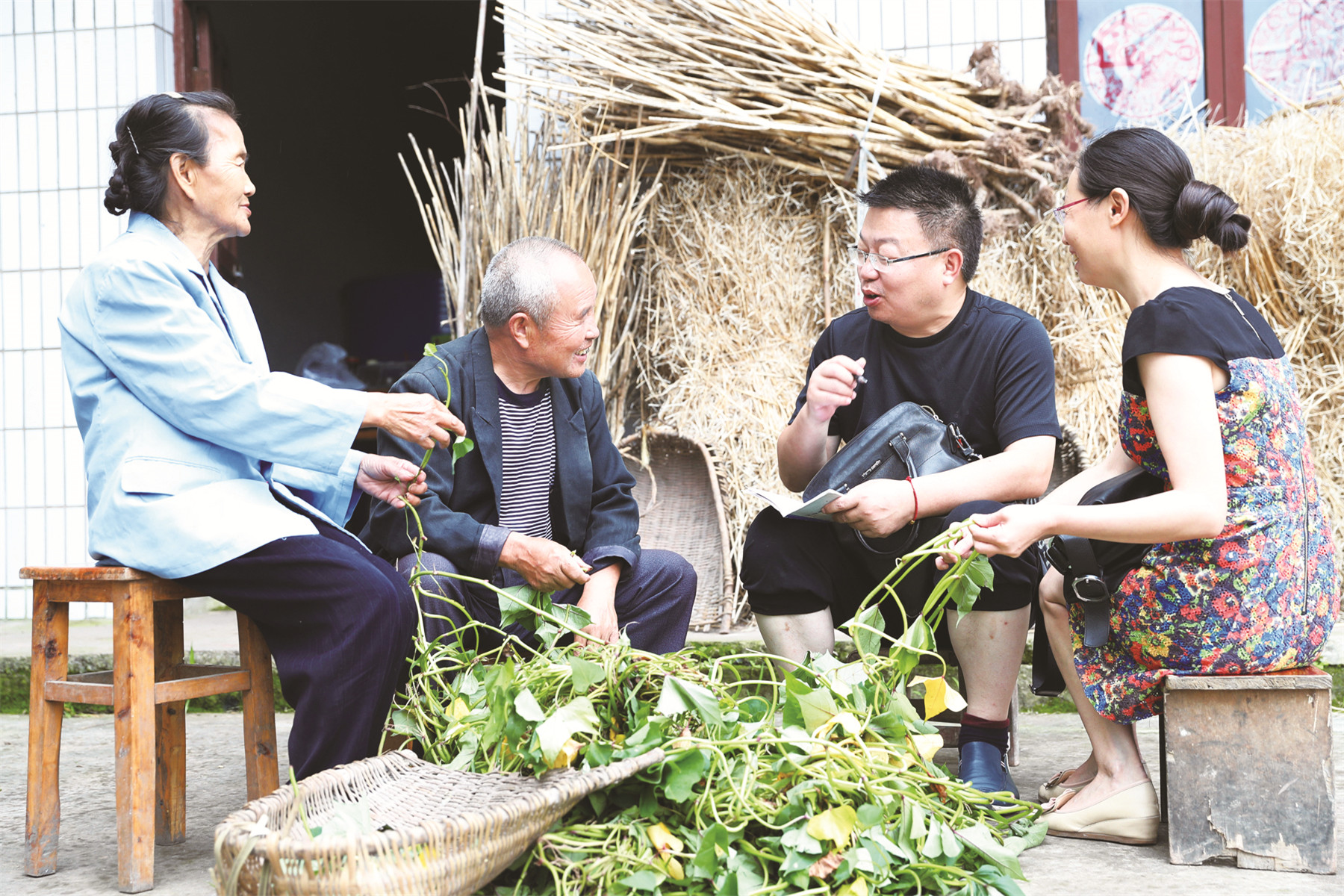 农民致富的途径,农民脱贫致富出路在哪