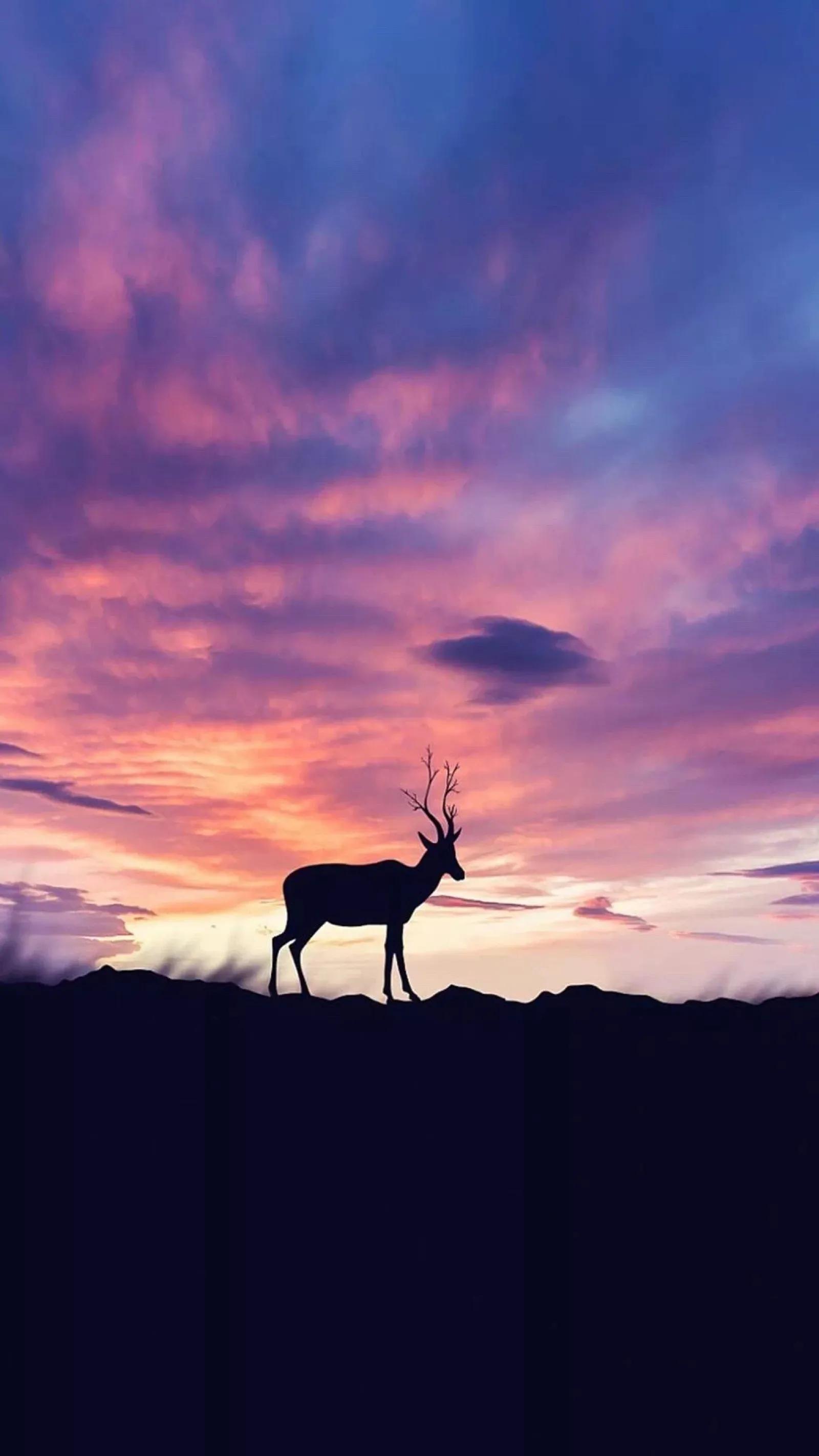 超清全面屏壁纸分享,唯美手机壁纸高清全面屏