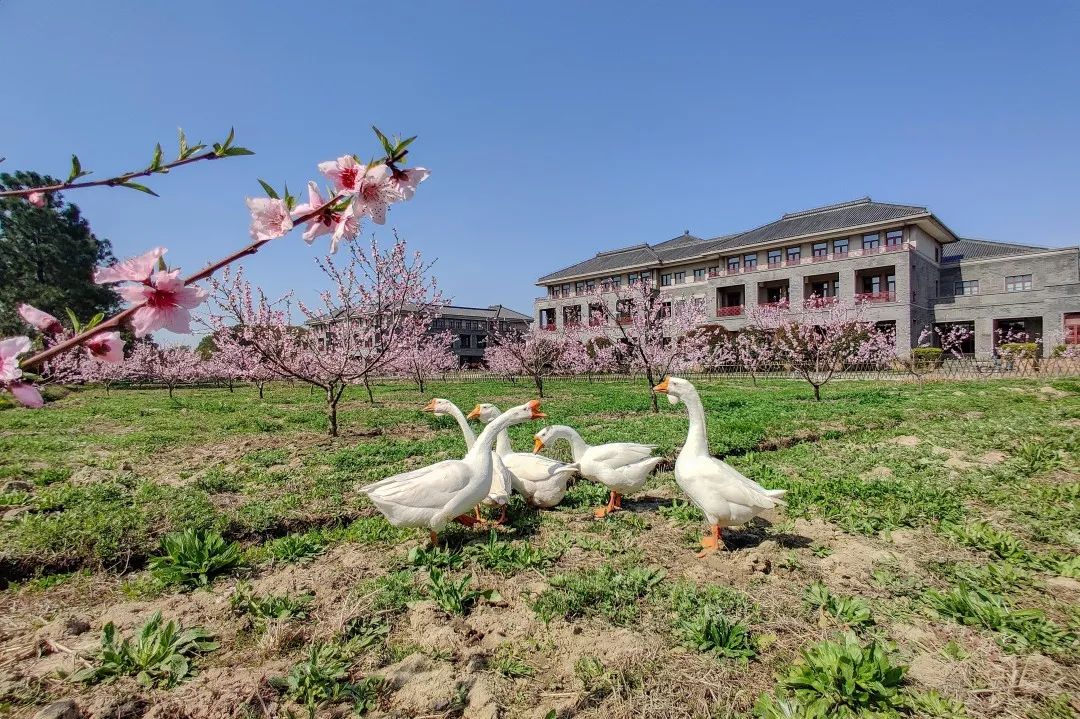 吴江太湖大学堂国际实验学校,苏州太湖大学堂附属学校
