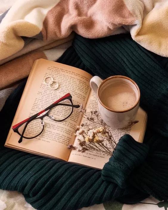 她用这种高颜值的干花装饰家里,隔壁邻居都惊叹不已