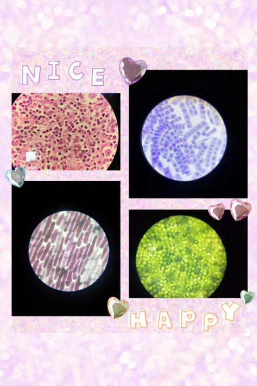 从a到z选择一个字母你会选择哪个,从a到z的成长