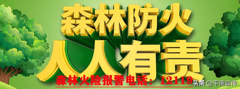 轻信投资返利被骗2万多元,轻信网络被骗17万