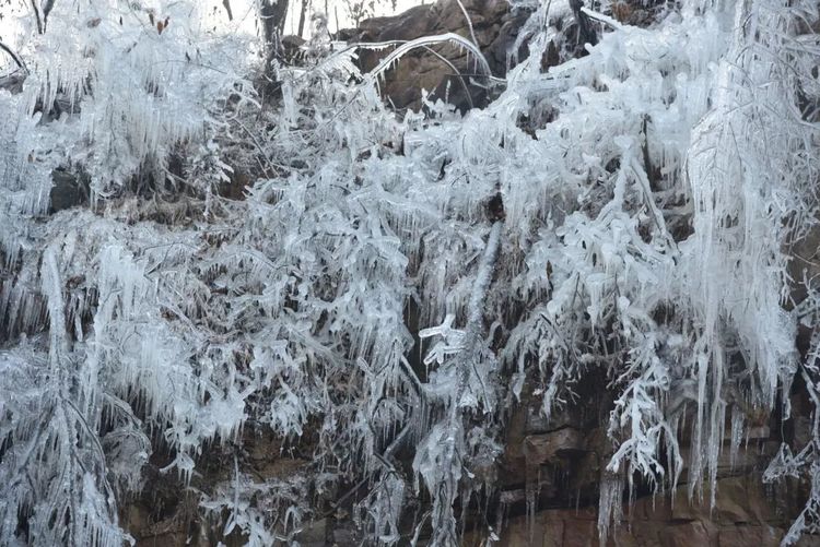 河南景点春节门票免费,河南春节免费景点