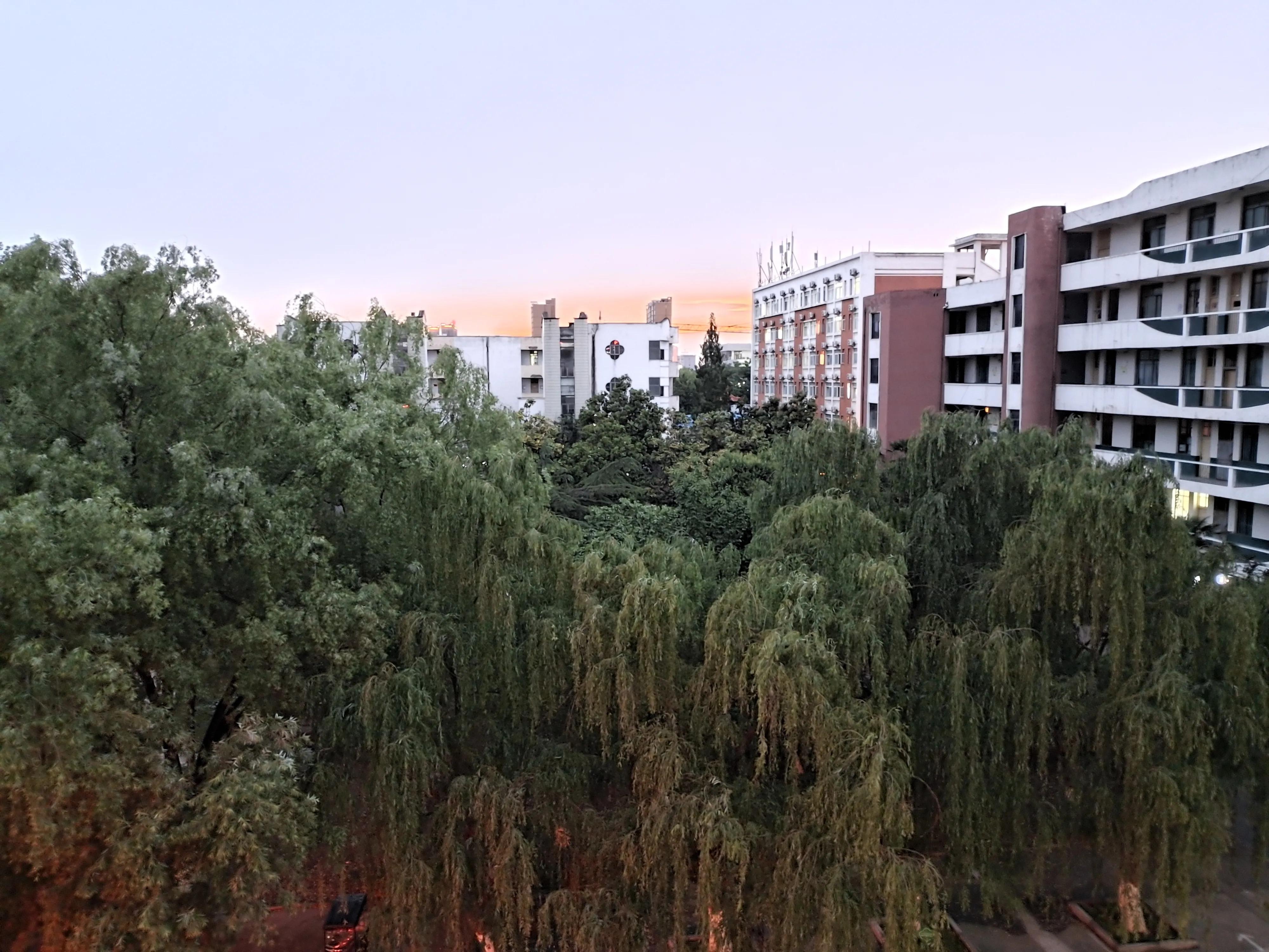 大学生打游戏颓废现状,大学生封校颓废视频