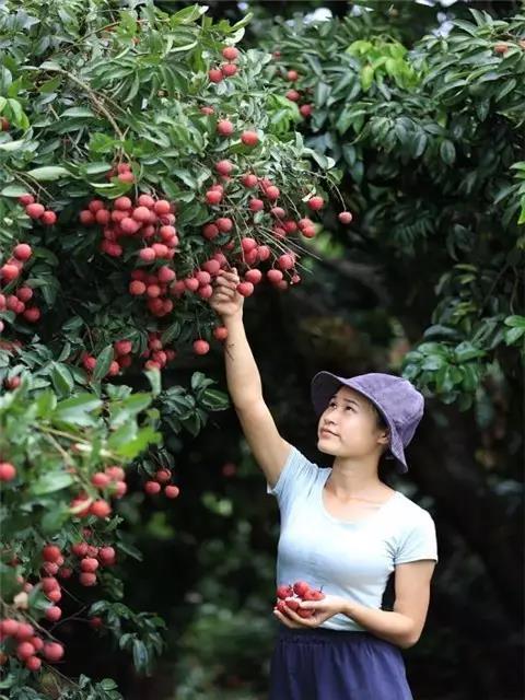 花卉蔬菜制作教程,花卉怎么做