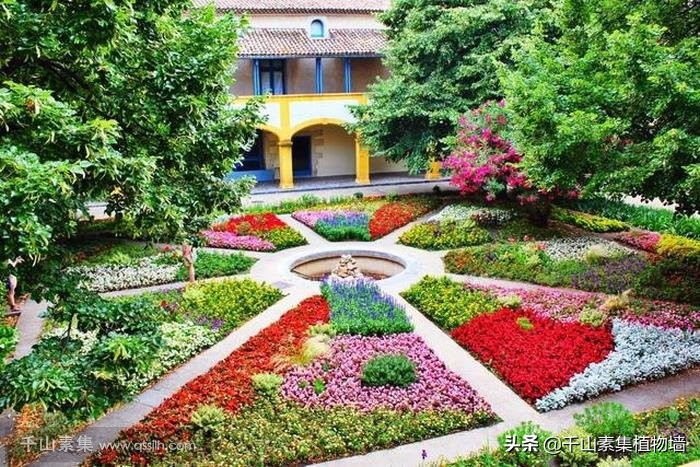 园艺康复疗法介绍,园艺疗法的现状