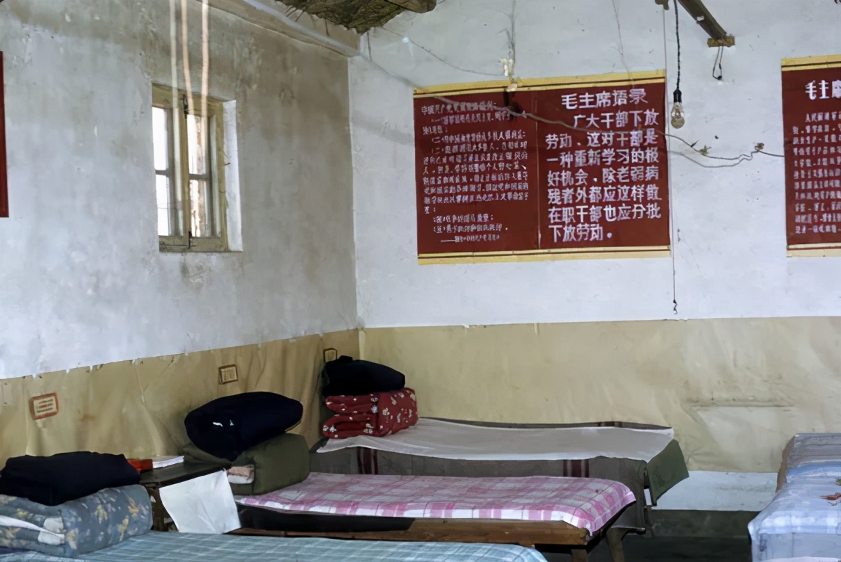 天津市南京路,天津和平路老照片的回忆