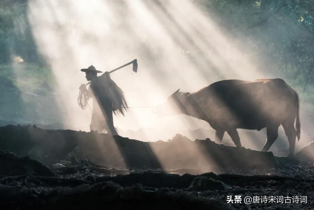 老翁七十犹强健，没膝春泥夜叱牛