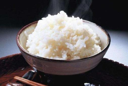 日本德川幕府最后一个将军,德川幕府将军的悲惨生活