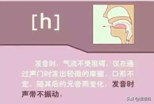 音标教学视频48个快速记忆法,英语48个音标发音教程视频