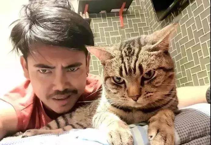 养了九年的猫突然对我有攻击性,养了两年的猫对我特别防备