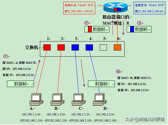 网络vlan基础知识,运用vlan技术建立无线网络的知识