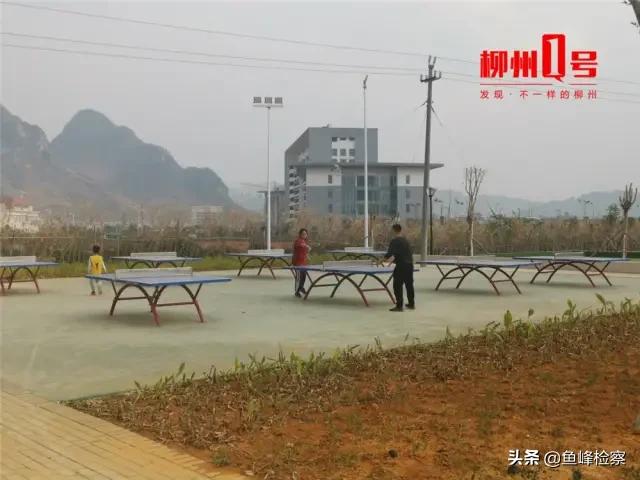 柳州最大的体育公园在哪,柳州体育休闲公园介绍