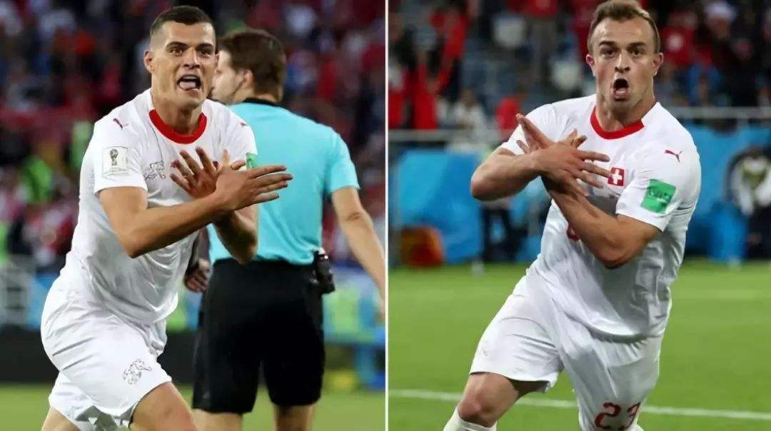 鲁能前主教练库卡米内罗,鲁能主教练图拔科维奇