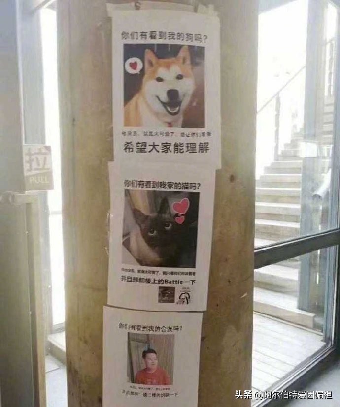 看广告的搞笑段子,电线杆广告搞笑段子