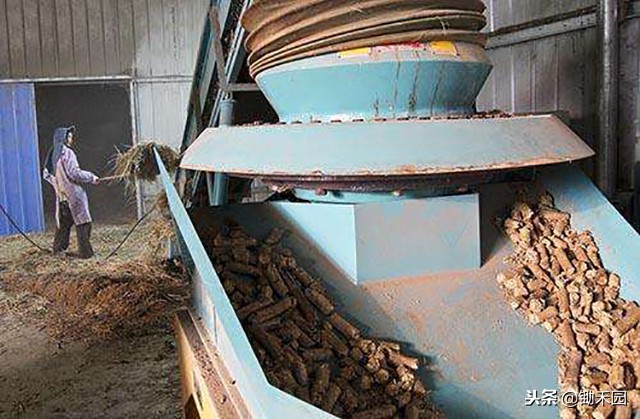 农民把玉米芯变废为宝,农作物秸秆就能变废为宝