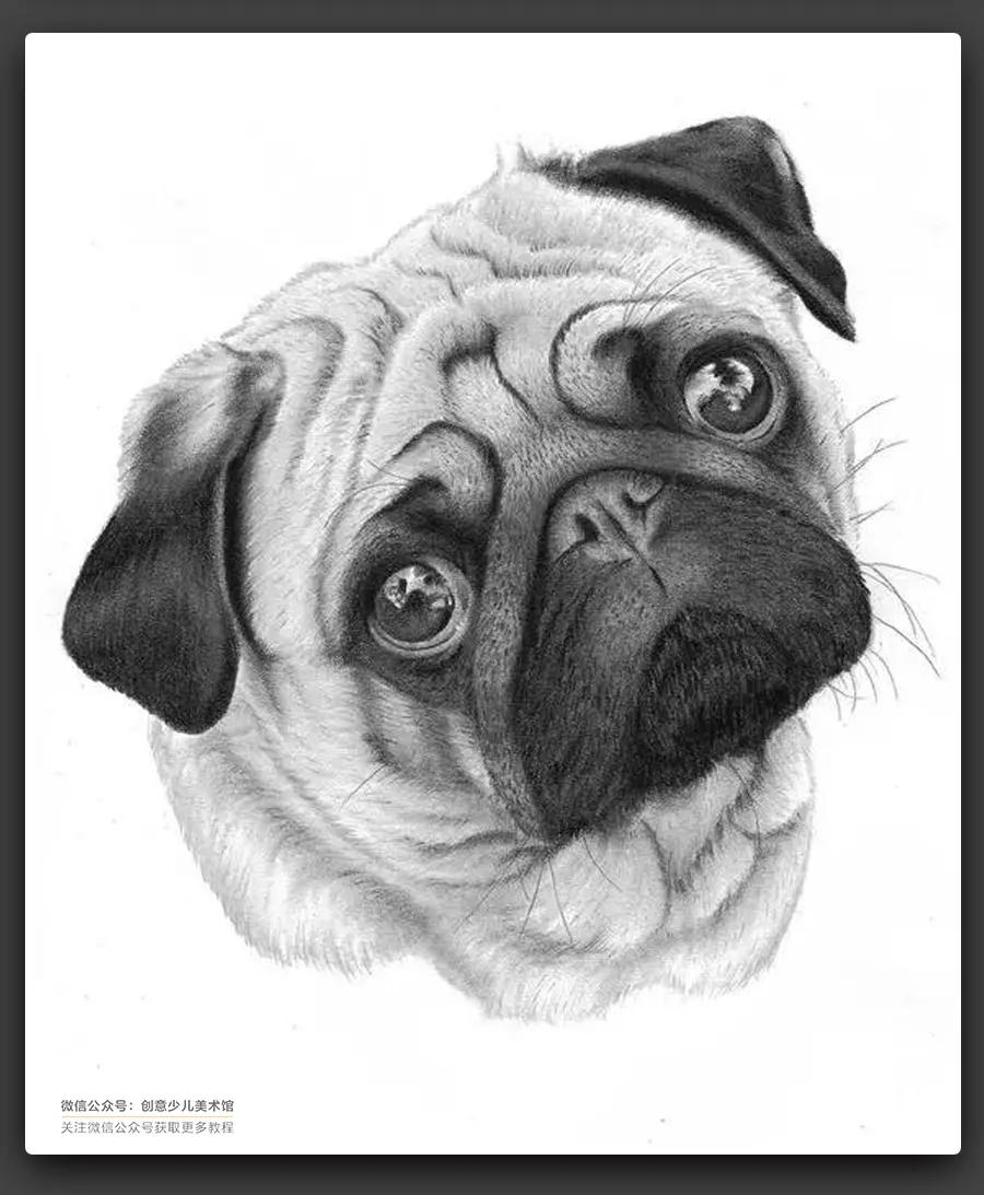 动物素描毛发细节教程,6-12岁儿童素描课程画动物