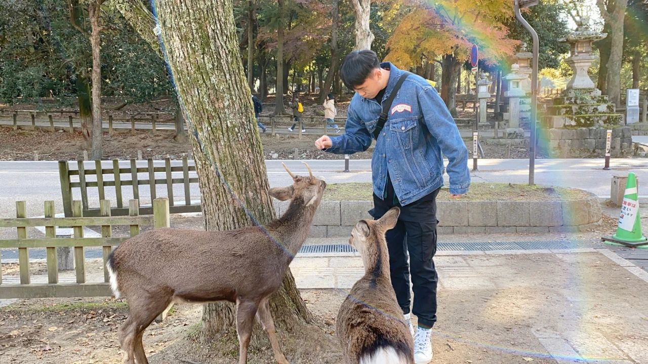 郜林斯曼高光时刻,郜林集锦2016-2019