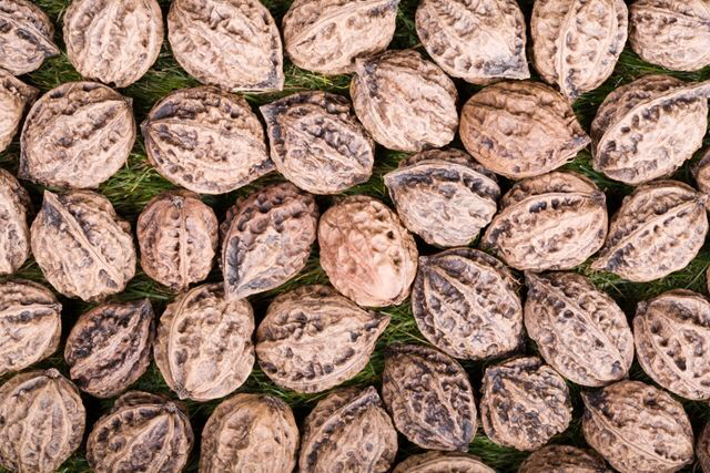 中药材核桃仁,野生核桃楸子