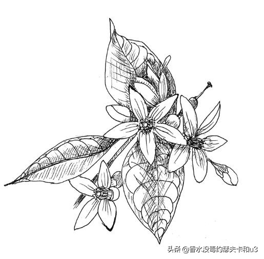 如果你喜欢银色山泉,那么今天的内容你必看