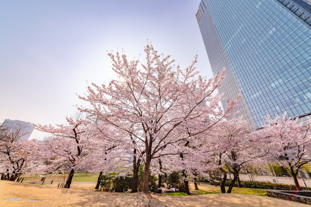 2020年青海大学思想政治教育考研招生信息、参考书、报录比分析
