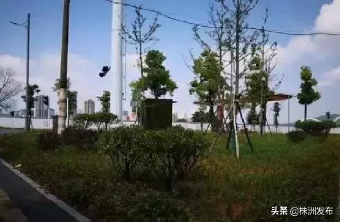 2020湖南夏季乡村文化旅游节,湖南省2020夏季乡村旅游节