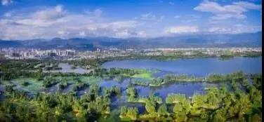 蓝花楹西昌航天北路公交车,蓝花楹卫星宾馆