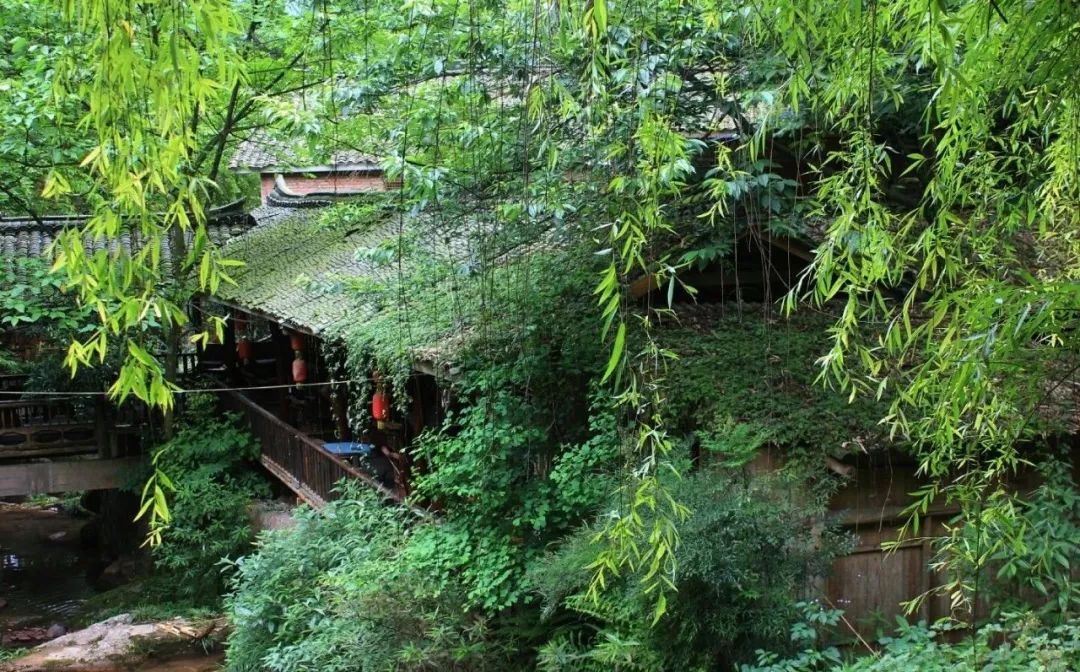 成都清凉耍水,成都周边免费露营耍水