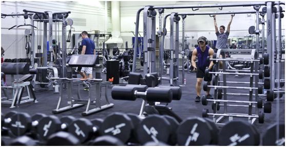 减脂增肌训练计划一周计划表,女人新手徒手增肌训练计划