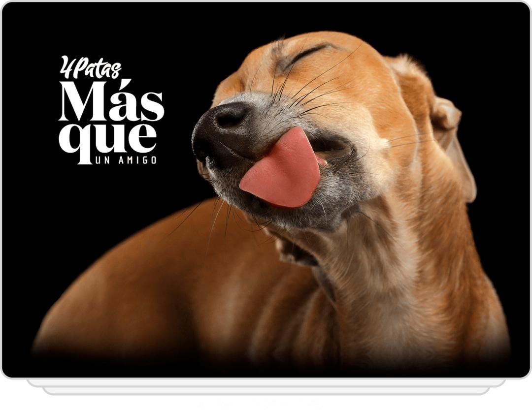 海报招贴设计教程,招贴海报设计ps视频