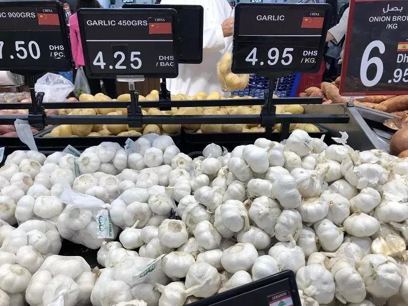 迪拜日常生活怎么样,在迪拜生活的感受