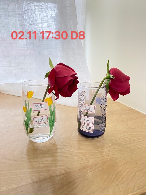 无形决定有形的说法,无形决定有形