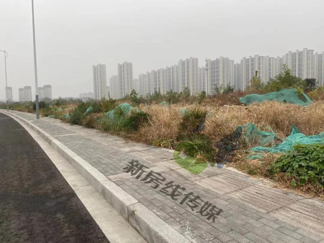 徐州中学来啦！市政府打造重点学校！这个区域未来可期