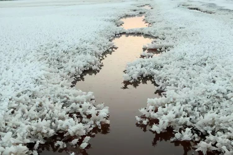 你们听说过死海吗,你听说过海洋中的强大生物吗
