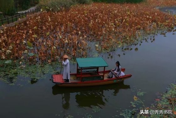 长安雅士教古琴,长安雅士古琴教学