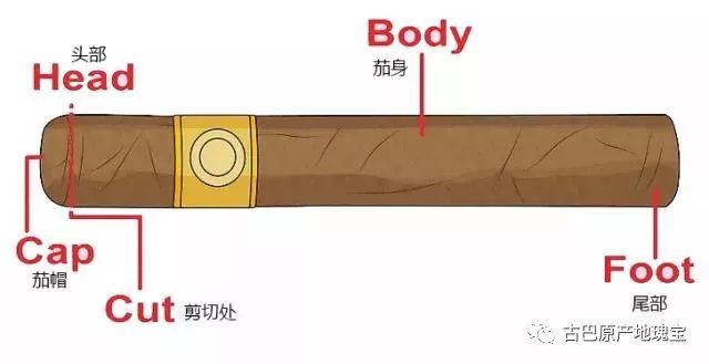 雪茄新手如何剪,没雪茄钳怎么剪雪茄