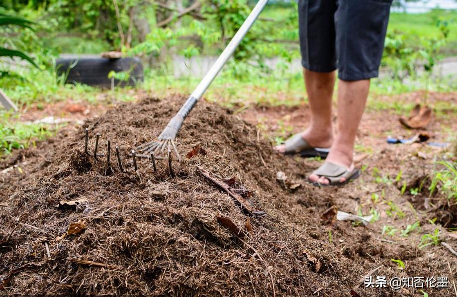 农村适合哪些投资少风险小的养殖,农村养殖种植与三农创业致富项目