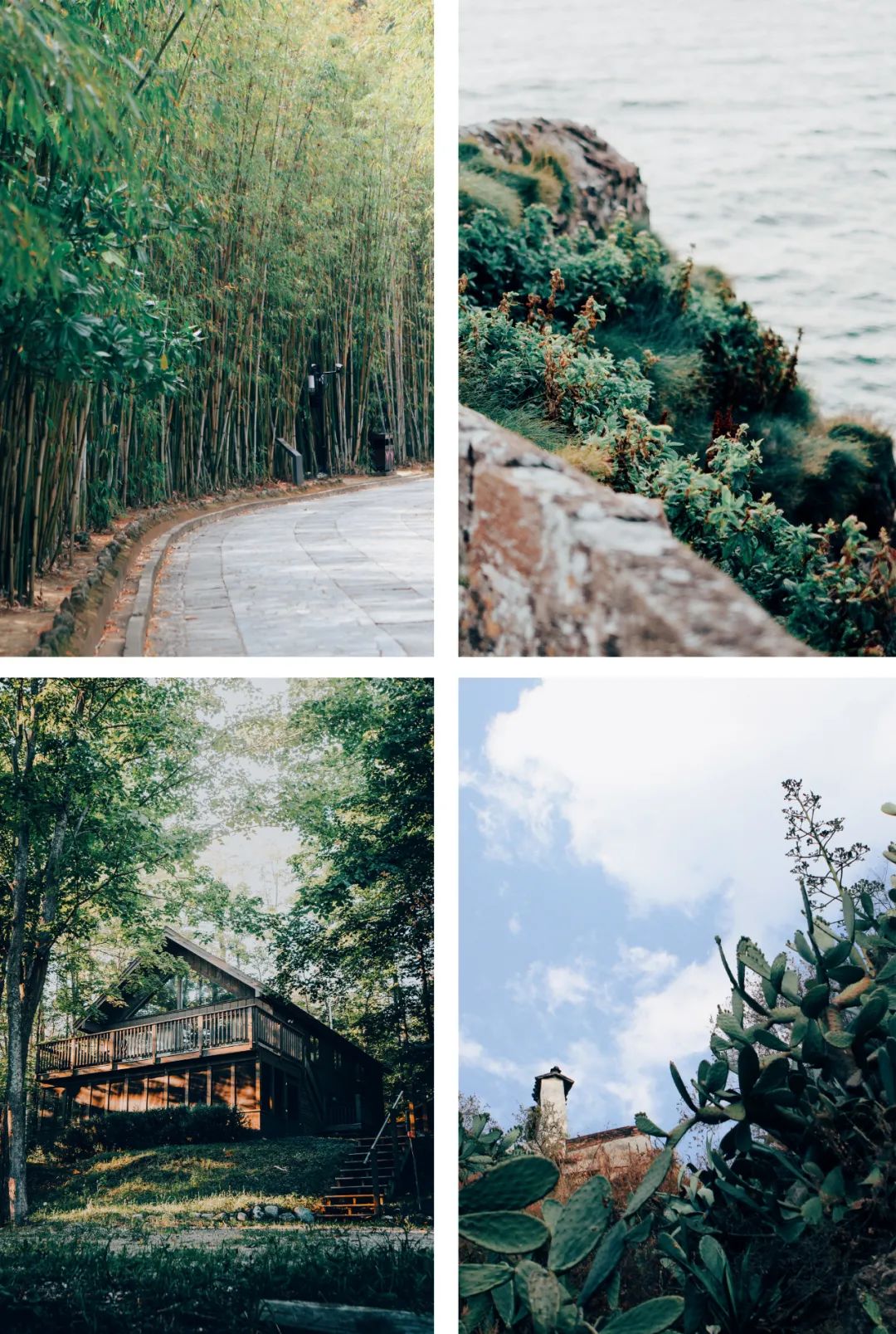 经典复古胶片风,最好看的胶片风格