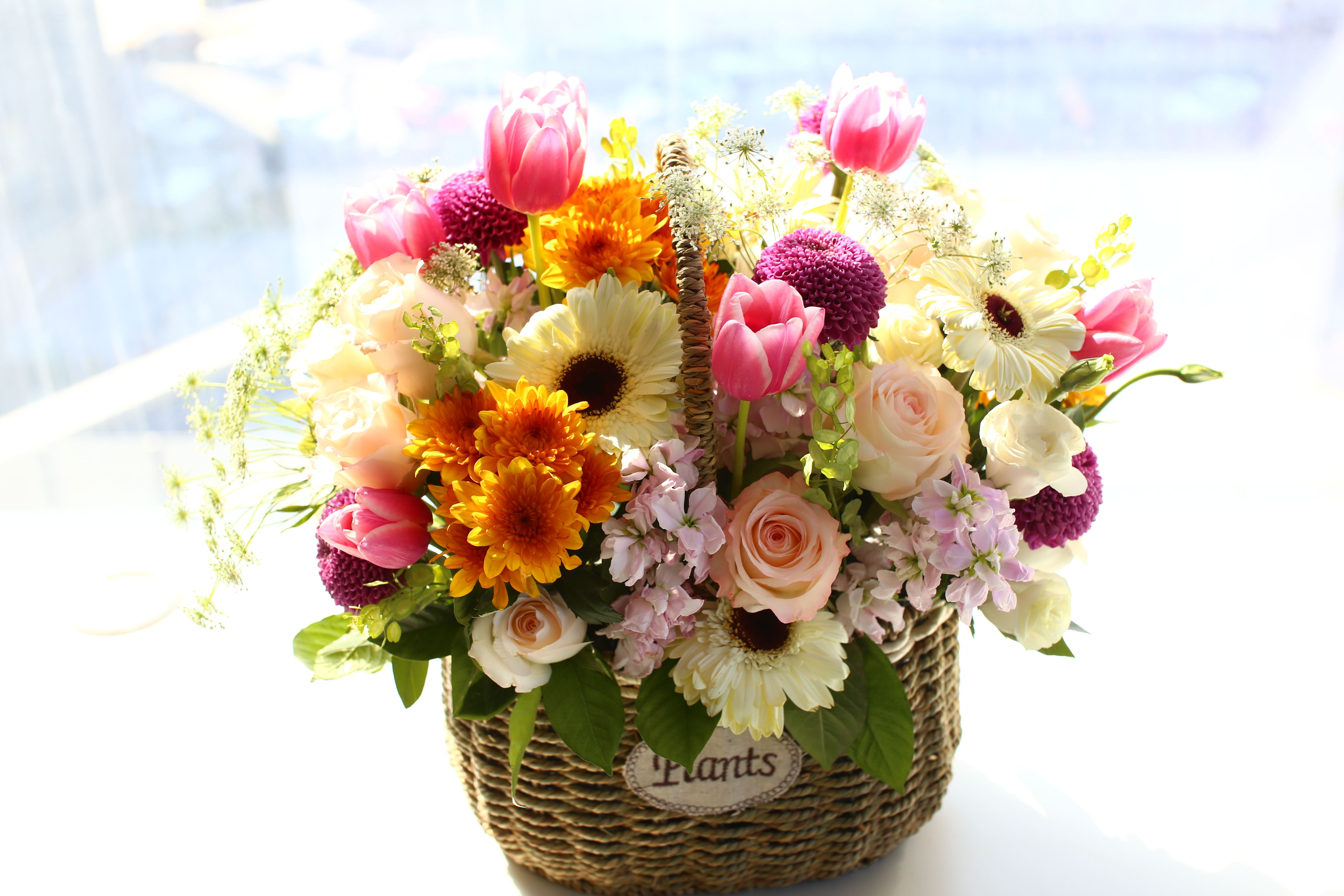 如果想开花店没有经验怎么办,想开一家花店没经验怎么学