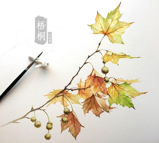 桐叶秋声、金井梧桐、秋雨梧桐，这也是梧桐