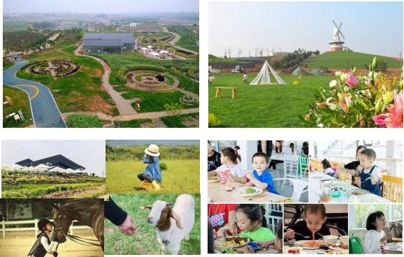 成都周边田园旅游攻略,成都冬季最理想的旅游线路