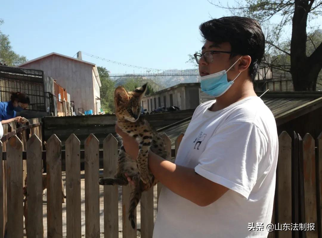 青岛市人民检察院,青岛市人民检察院检察官