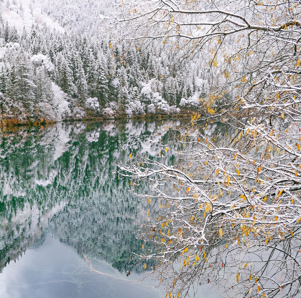 关于初雪的唯美现代诗词,关于初雪的诗句古诗名句