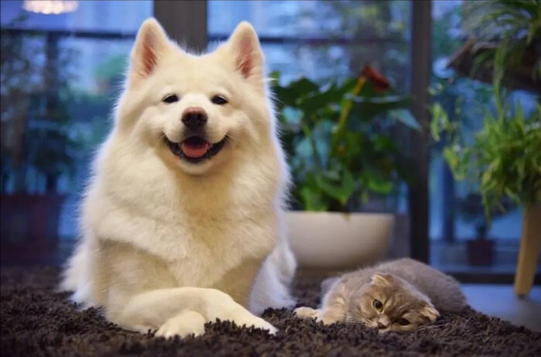 书荒求高质量男主都市小说推荐,书荒了都市小说完本排行榜