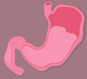 接吻一次可以吃掉多少细菌,接吻会有8000万的细菌