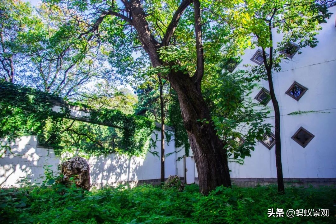 香山饭店四绝十八景是什么,香山饭店的游记