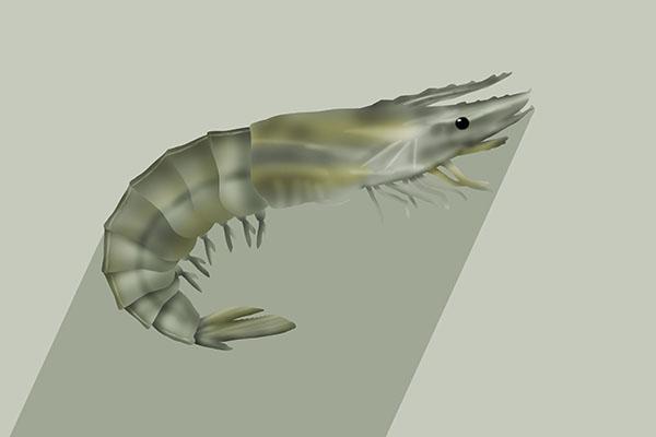 膝盖弯曲经常有响声是缺钙吗,走路多膝盖疼是缺钙吗