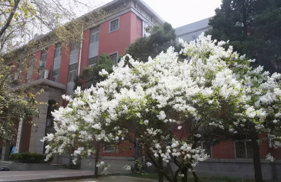 郑州大学冬季风景,郑州大学风景园林好不好